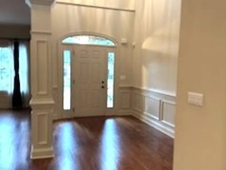 217 Asheton Lakes Way — Photo 5