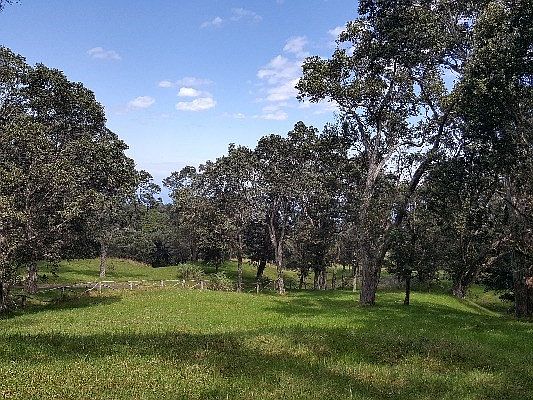 4th image of Koholalele Road D Lot 19C-1