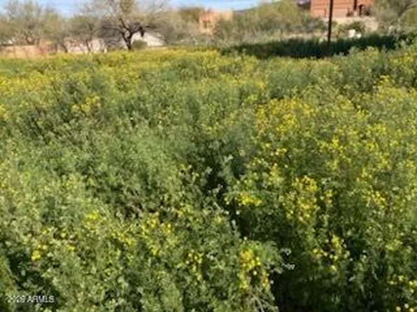 45427 N 14th Street #A, New River, AZ 85087