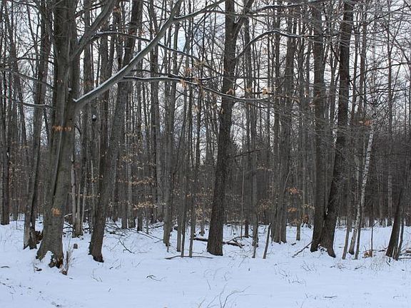 4th image of 000 Mitchell Trail 480 Acres