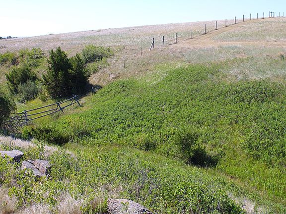5th image of Trails End Rd