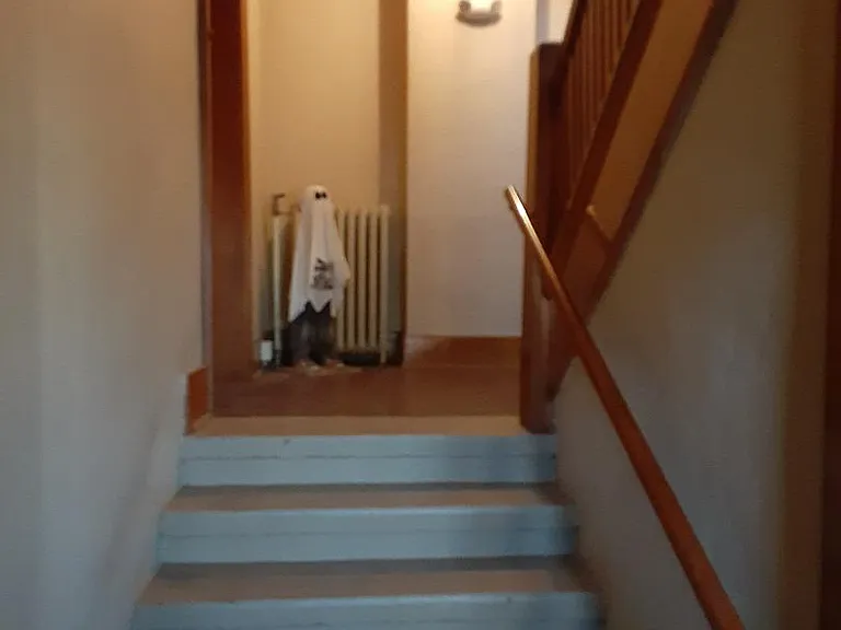 805 S 18th St #3 — Photo 6