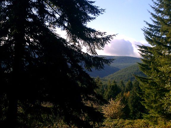 Build your dream home