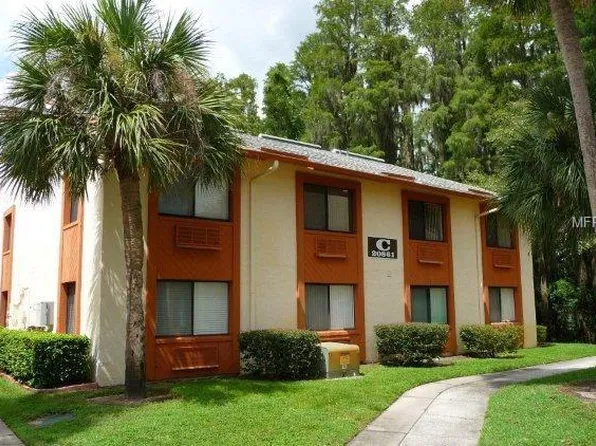 20861 Haulover Cv Unit 4, Lutz, FL 33558