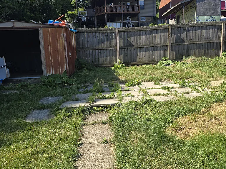 Back yard