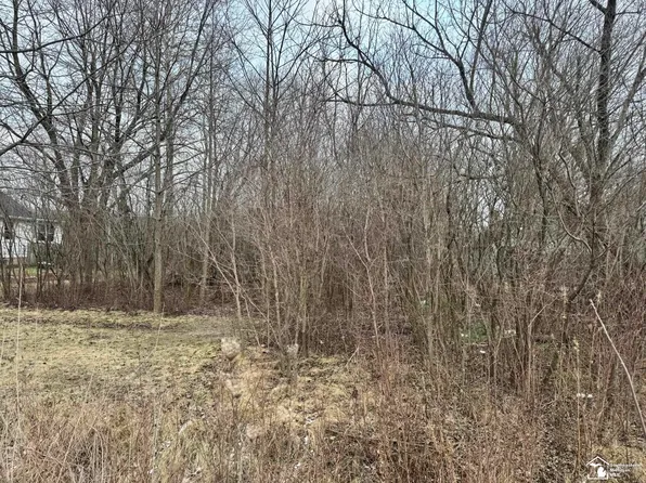 0 W Jefferson Ave, Brownstown Twp, MI 48173