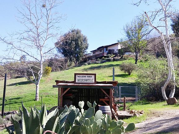 Coming up the 100yd driveway