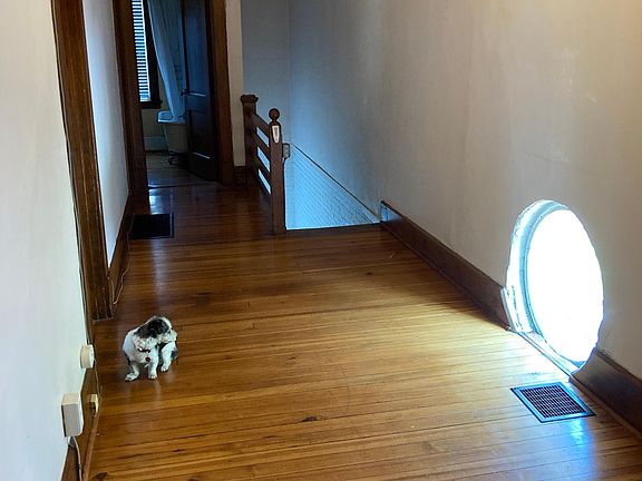 Large Hallway used as TV room when it was an AirBnB. Dog not included.