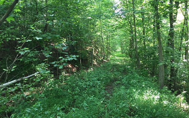 2nd image of 0 Ridgehaven Trl E