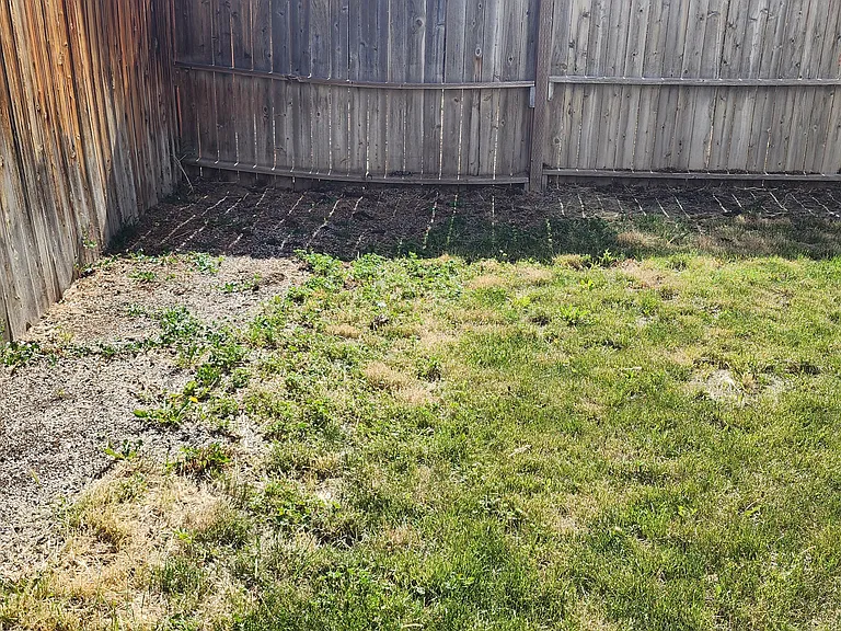 2990 Krista St — Photo 9