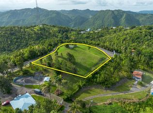 Bo Cercadillo Carr 715 Solar 1 Urb Vistas Del Cari, Cayey, PR 00736