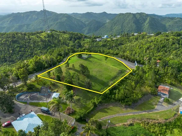 Bo Cercadillo Carr 715 Solar 1 Urb Vistas Del Cari, Cayey, PR 00736