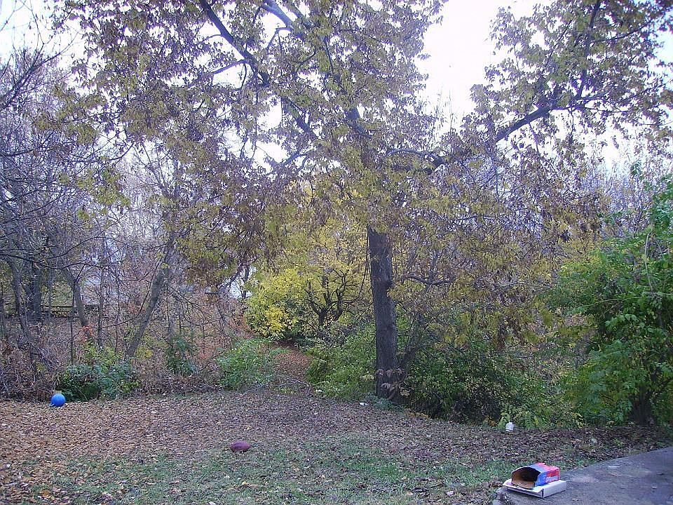 2nd image of 492 Walnut Rd