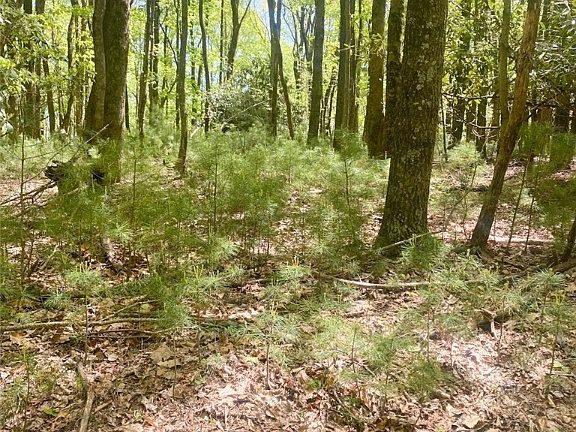 2nd image of TBD Pine Grove Circle