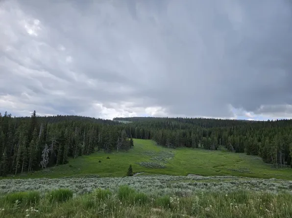 Forest Service Rd #177, Sheridan, WY 82801