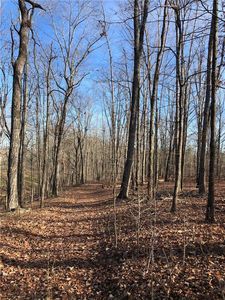 0 N Seed Tick Rd LOT 307, Dawsonville, GA, 30534