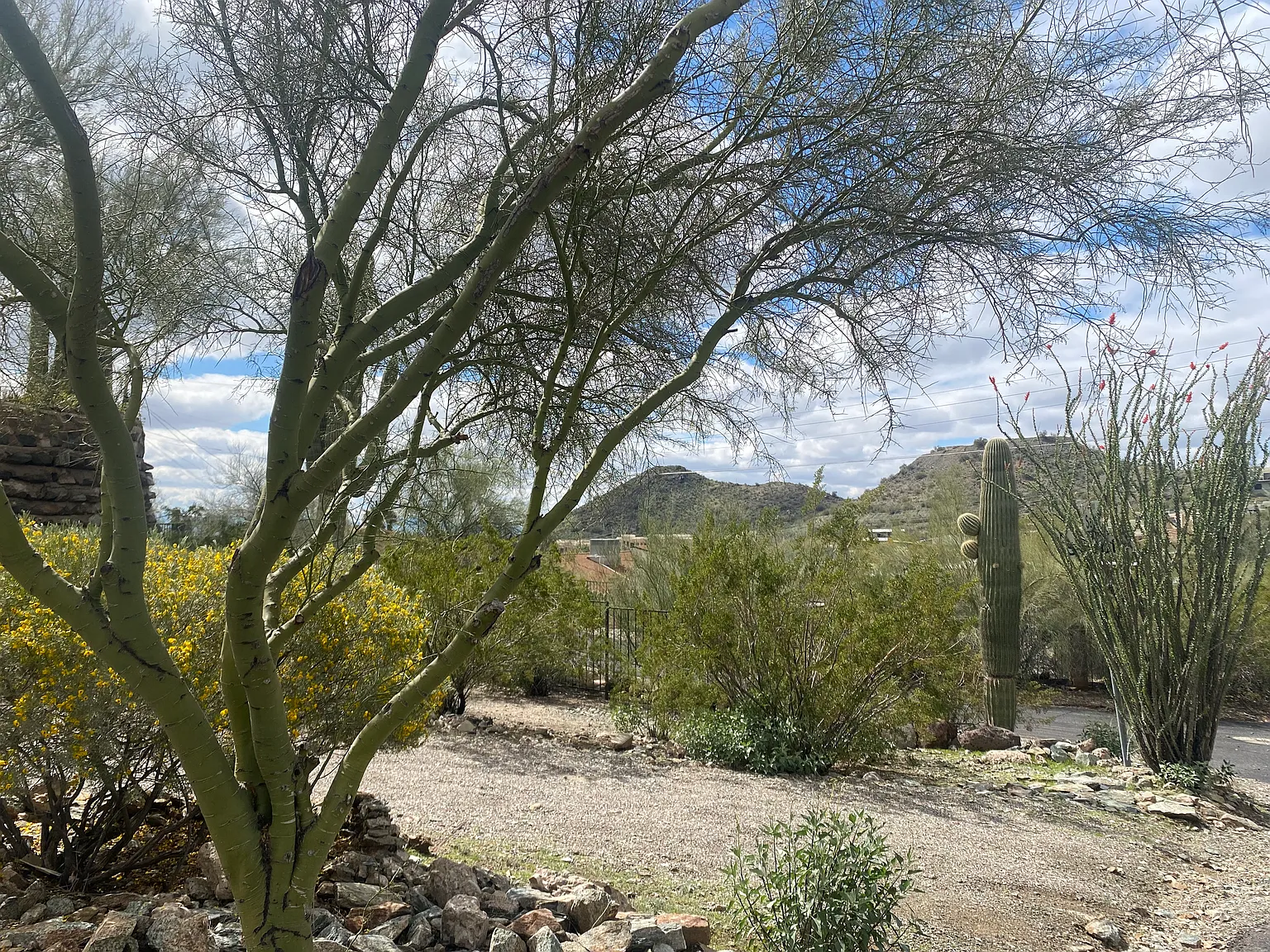 3 bed, 1477 sqft, $2,600 — Photo 2