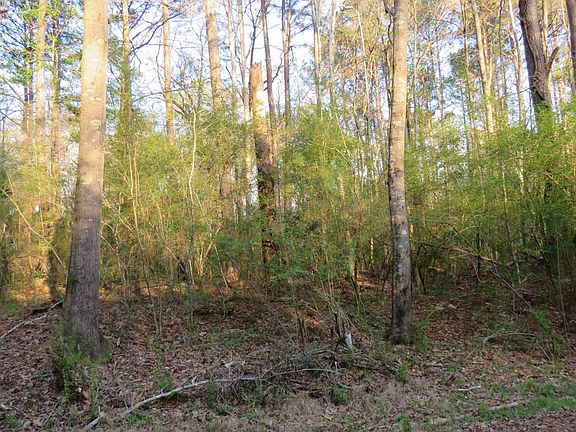 5th image of 0 Woodland St