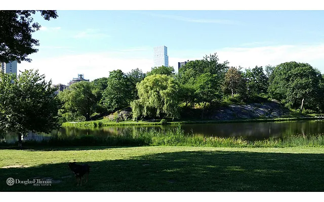 Sold by Douglas Elliman | media 8