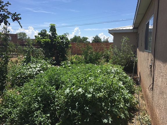 Large side yard with garden