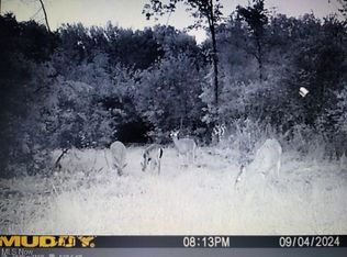 4389 Kincaid East Rd, Warren, OH 44481