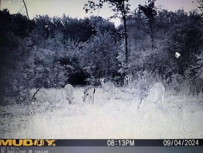 4389 Kincaid East Rd, Warren, OH, 44481