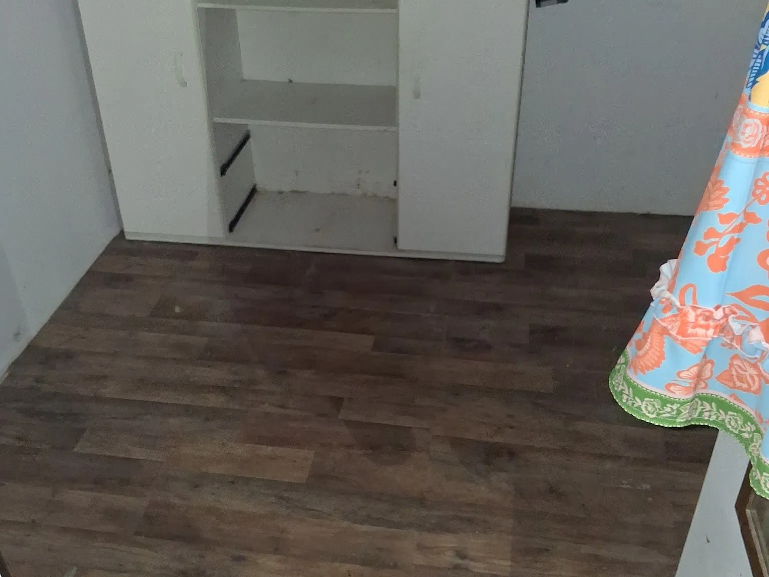 2 bed, $375 — Photo 3