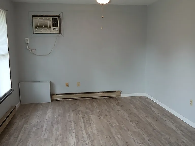 Living room ceiling fan