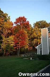 Large yard abuts forest