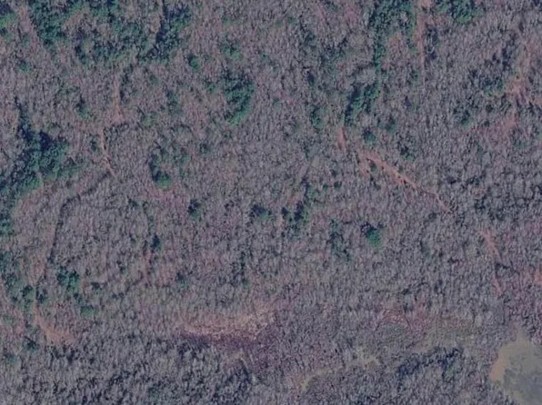 County Road 189, Doddridge, AR 71834