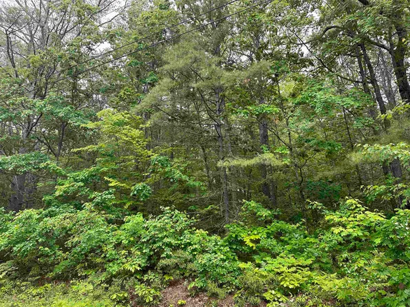 47 Bern Drive, Madison, NH 03849