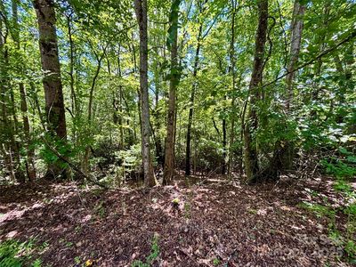 0 Laurel Forest Dr, Hendersonville, NC, 28739
