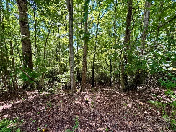 0 Laurel Forest Dr, Hendersonville, NC 28739