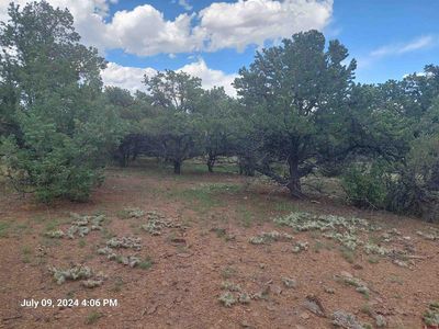 201 and 225 Sunrise Road, South Fork, CO, 81154