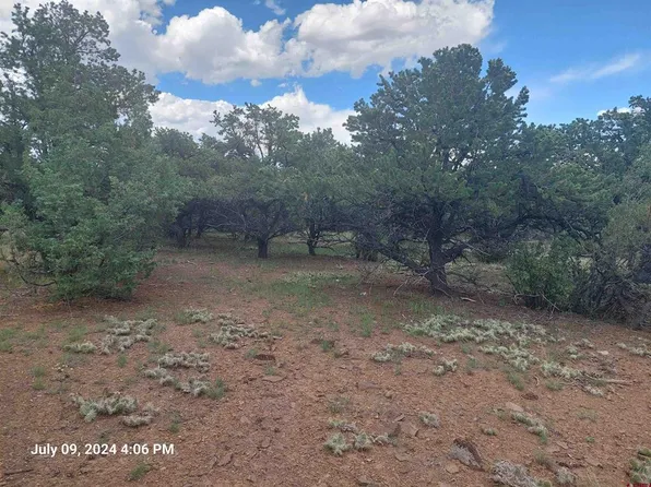 201 and 225 Sunrise Rd, South Fork, CO 81154