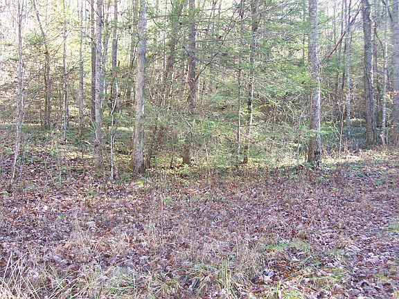 5th image of West Short Mountain