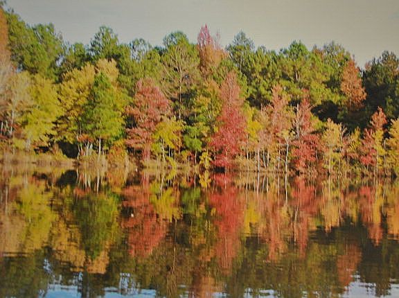 4th image of 2685 Lee Road 42