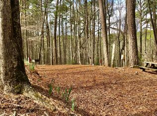 128 10th St, Ellijay, GA 30540