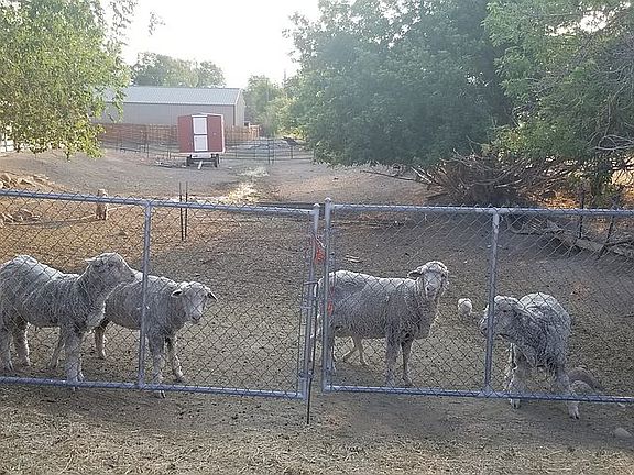 Street view side yard