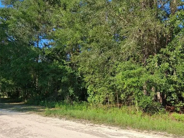 13378 Canyon Swallow Rd Lot 8, Brooksville, FL 34614