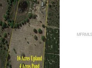 23800 S Dewey Robbins Rd, Howey In The Hills, FL 34737