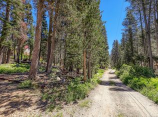 21210 Donner Dr, Soda Springs, CA 95728