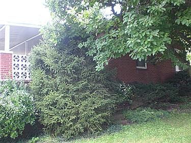 2nd image of 2604 Anne Way