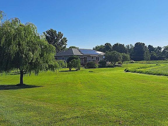 Side and back yard