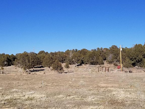 Fenced irrigated pastures