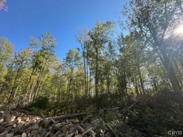 8816 Miner Rd #1, Chittenango, NY 13037