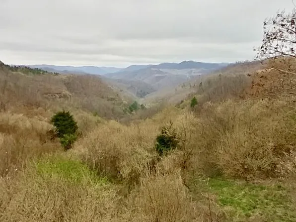 0 Left Fork Sunny Frk, Virgie, KY 41572