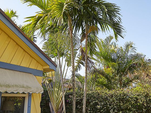 4th image of 611 S Palmway
