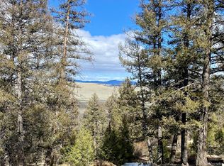 406 Middle Fork Vis #371, Fairplay, CO 80440