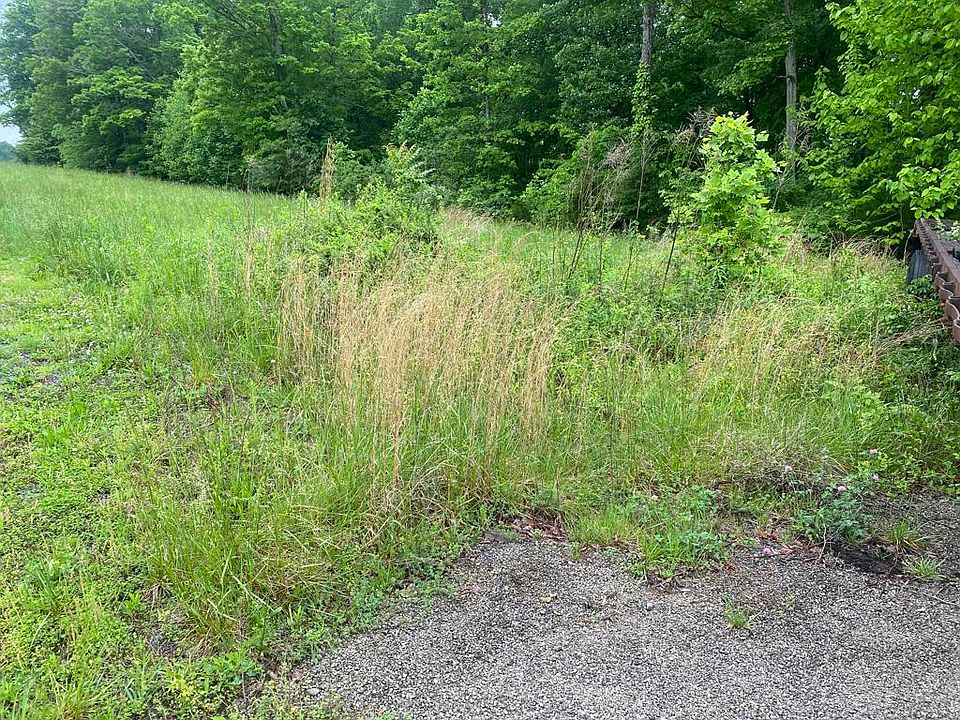 2nd image of 93 Gracie Ln